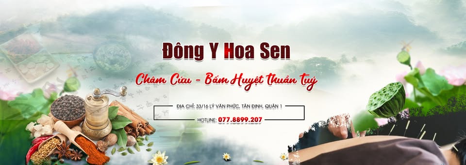 Phòng Khám Đông Y Hoa Sen quy tụ đội ngũ y bác sĩ tốt nghiệp từ các trường đại học hàng đầu