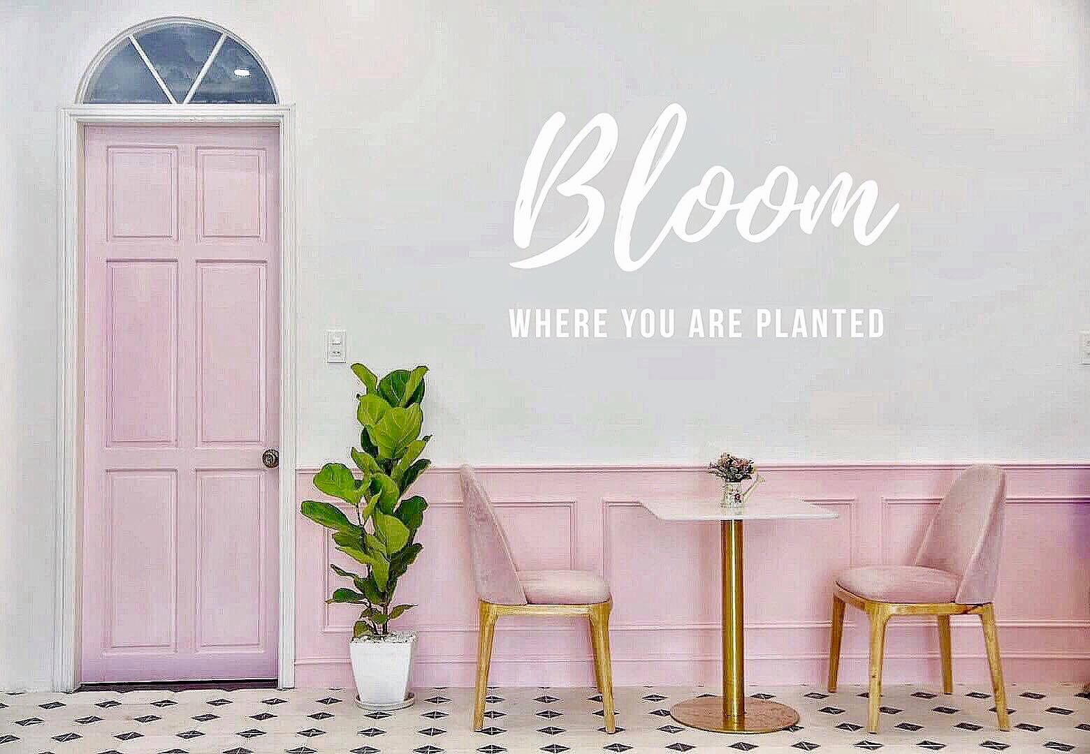 Khám phá Homestay tại Huế