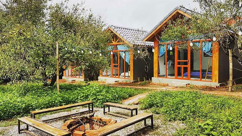 Hình ảnh homestay tại Sapa với không gian xanh, phù hợp cho du khách tìm chỗ ở khi du lịch Sapa.