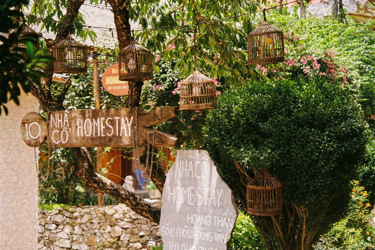 Ban công homestay lý tưởng để nhâm nhi cà phê và ngắm núi Đà Lạt