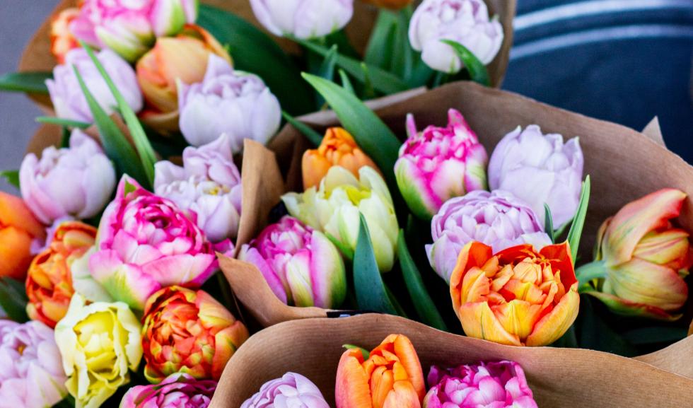 Bó hoa tulip nhiều màu sắc - dịch vụ đặt hoa tươi theo yêu cầu tại TPHCM