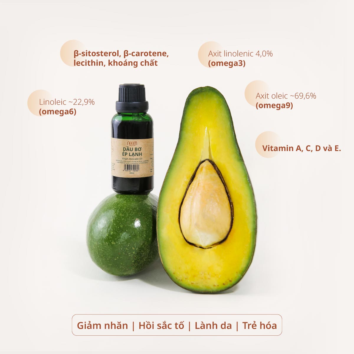 Dầu bơ trong các loại dầu ăn ép lạnh giàu Omega 9.