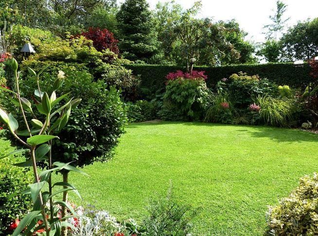 Hình ảnh Trung Kiên Landscape – công ty uy tín trong lĩnh vực chăm sóc cây xanh, thiết kế cảnh quan và trồng cây mới, đảm bảo không gian xanh phát triển khỏe mạnh.