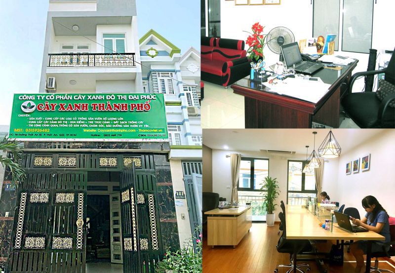 Kỹ sư Đại Phúc đang thi công hệ thống cây xanh dọc tuyến đường đô thị, với thảm cỏ, cây bóng mát và tiểu cảnh trang trí.