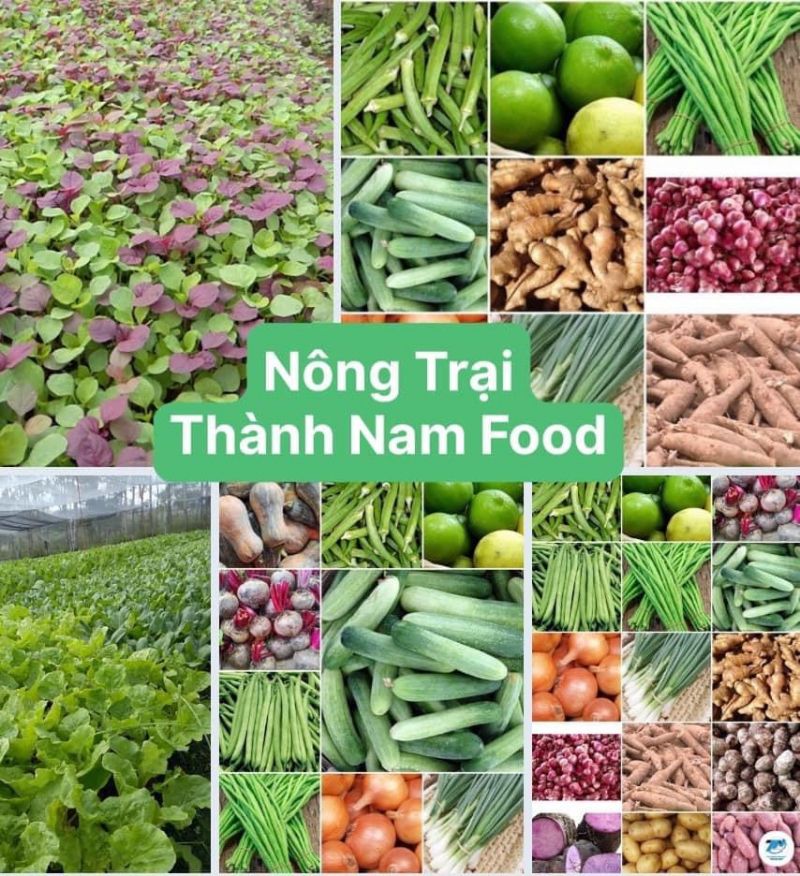 Nhân viên đang kiểm tra chất lượng sản phẩm tại xưởng chế biến của Thành Nam Food – công ty chuyên cung cấp thực phẩm chế biến từ hải sản.