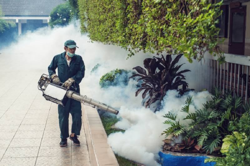 Nhân viên Thịnh Hưng đang tiến hành dịch vụ diệt muỗi định kỳ tại khuôn viên công ty với thiết bị hiện đại và quy trình kiểm soát nghiêm ngặt.