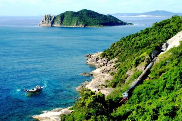 Bãi biển Quy Hòa với hàng dừa xanh mát, địa điểm du lịch kì thú và hoang sơ gần Quy Nhơn.
