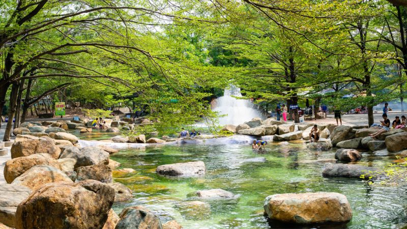 Suối nhân tạo và không gian rợp bóng cây ở Thủy Châu – địa điểm du lịch sinh thái nổi bật.