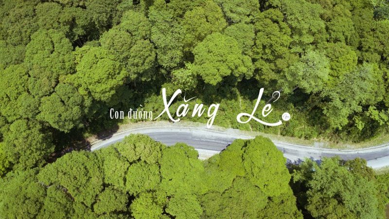 Rừng Săng Lẻ – Khu du lịch sinh thái xanh mát, lá phổi của Tương Dương.