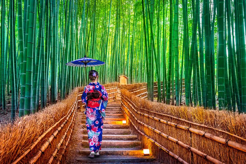Rừng trúc Arashiyama Nhật Bản – con đường trúc huyền ảo, điểm du lịch tuyệt vời không thể bỏ qua.
