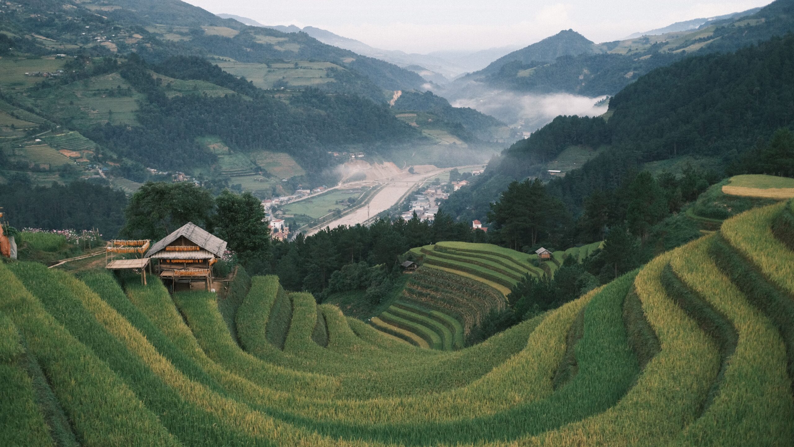 Thung lũng ruộng bậc thang Hà Giang tuyệt đẹp