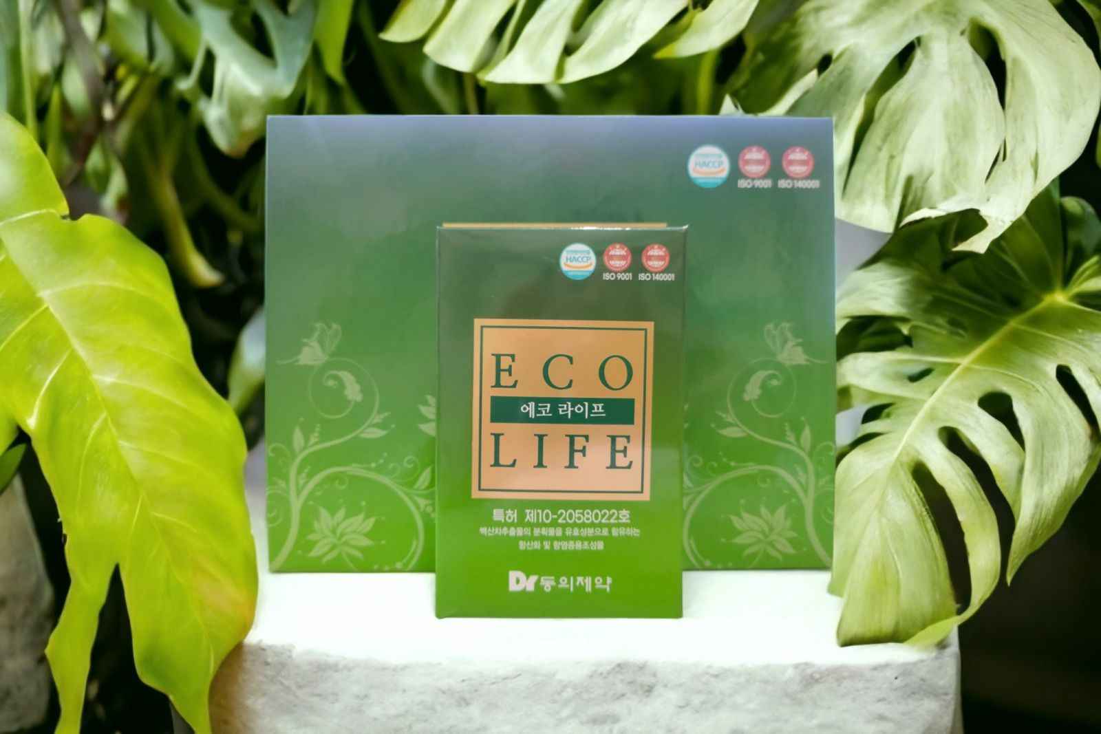 Hộp sản phẩm gel tẩy nấm mốc Eco Life Hàn Quốc.