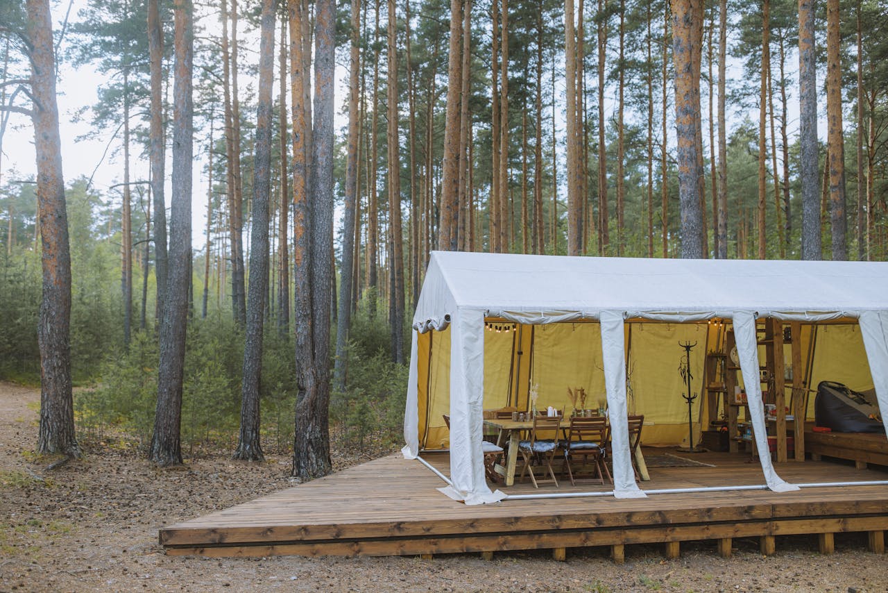 Glamping Hồ Trị An - lều trên sàn gỗ giữa rừng
