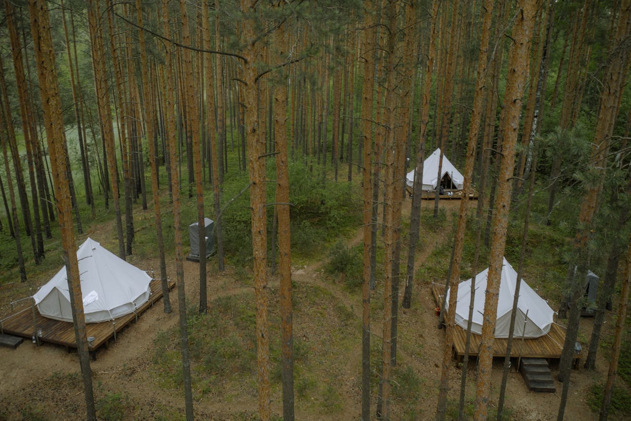 Glamping Hồ Trị An - khu lều giữa rừng xanh