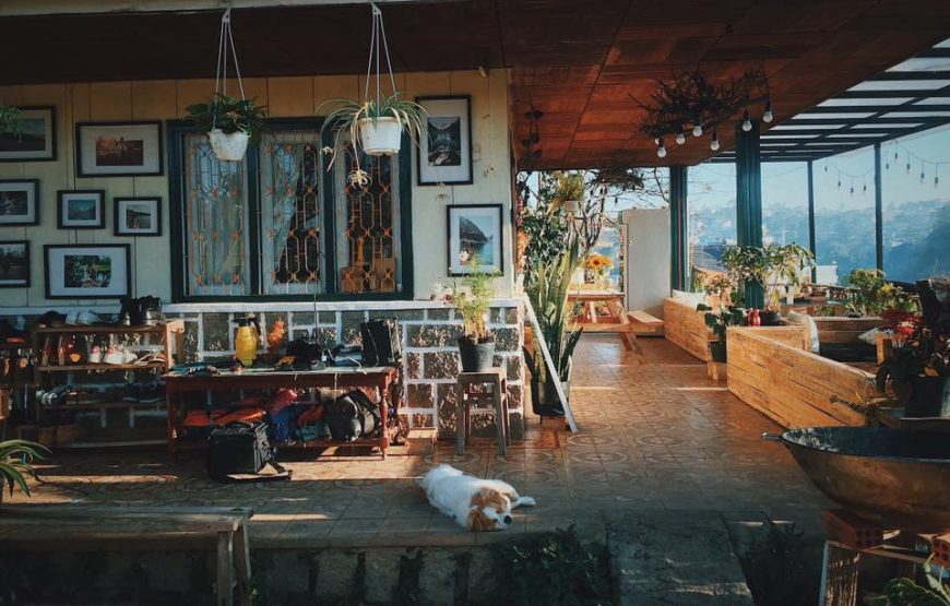 Homestay Đà Lạt