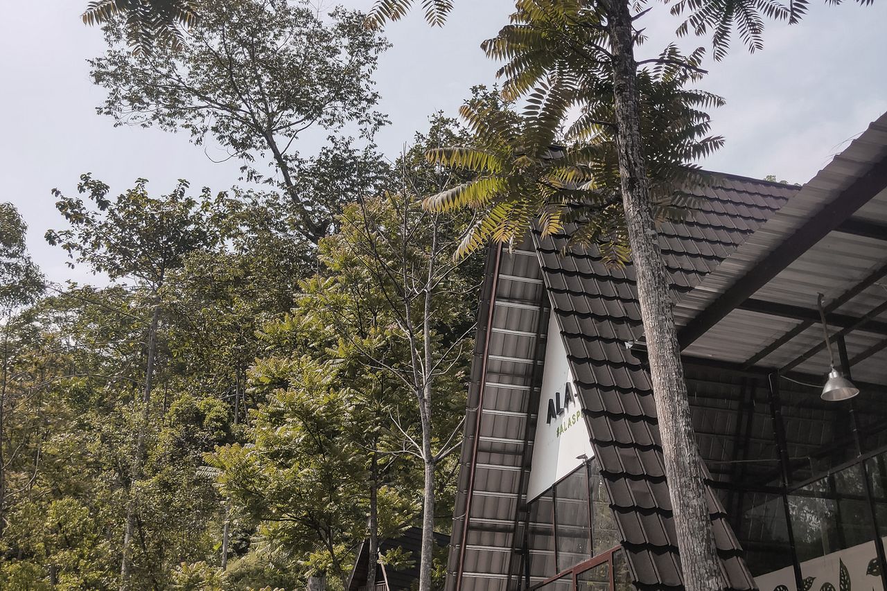 Homestay đẹp Đà Lạt view núi giữa thiên nhiên