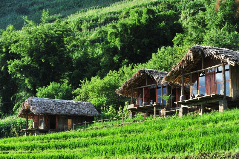 Homestay đẹp quên lối về tại Sapa Tây Bắc