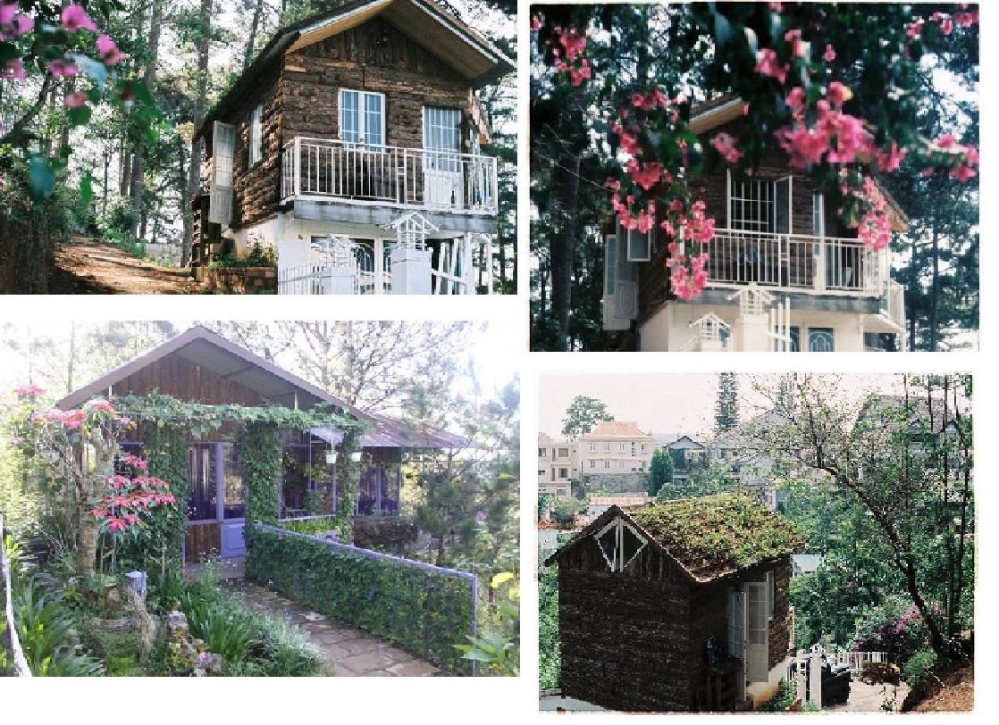 Nhà gỗ homestay ở Đà Lạt view rừng thông.