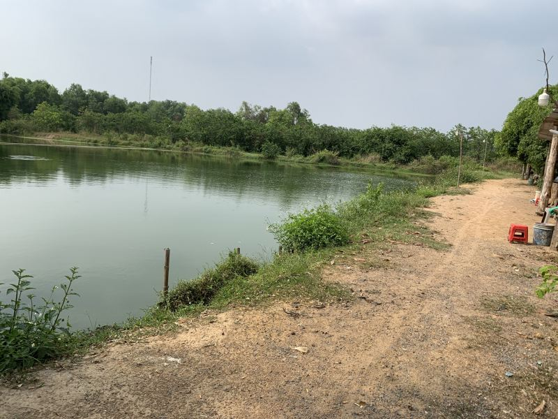 Không gian hồ câu Thiên Hương rộng lớn, địa chỉ câu cá giải trí nổi bật với nhà hàng sân vườn.