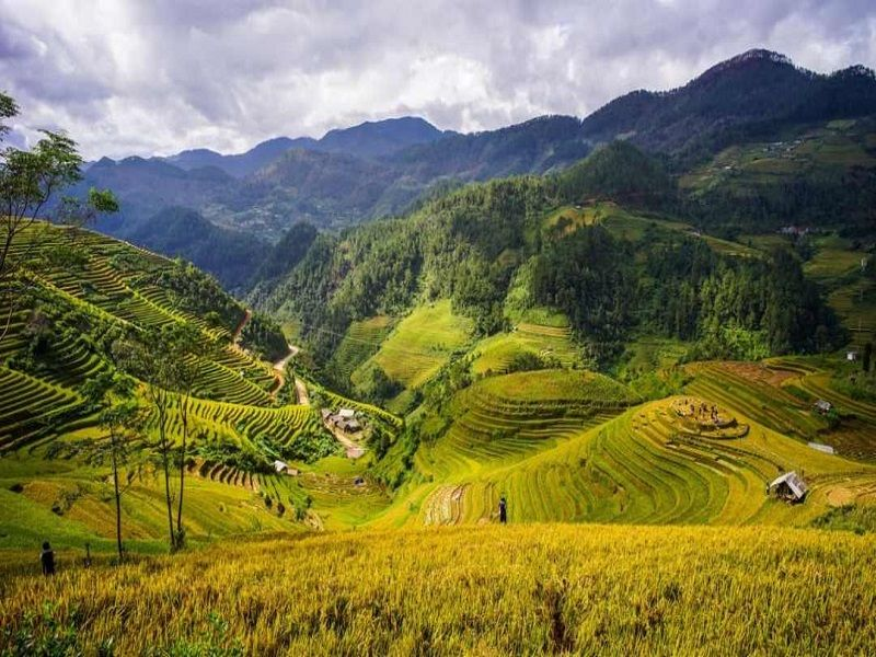 Thung lũng Mai Châu xanh mát, điểm nhấn văn hóa trong các chương trình du lịch nổi tiếng Hòa Bình.