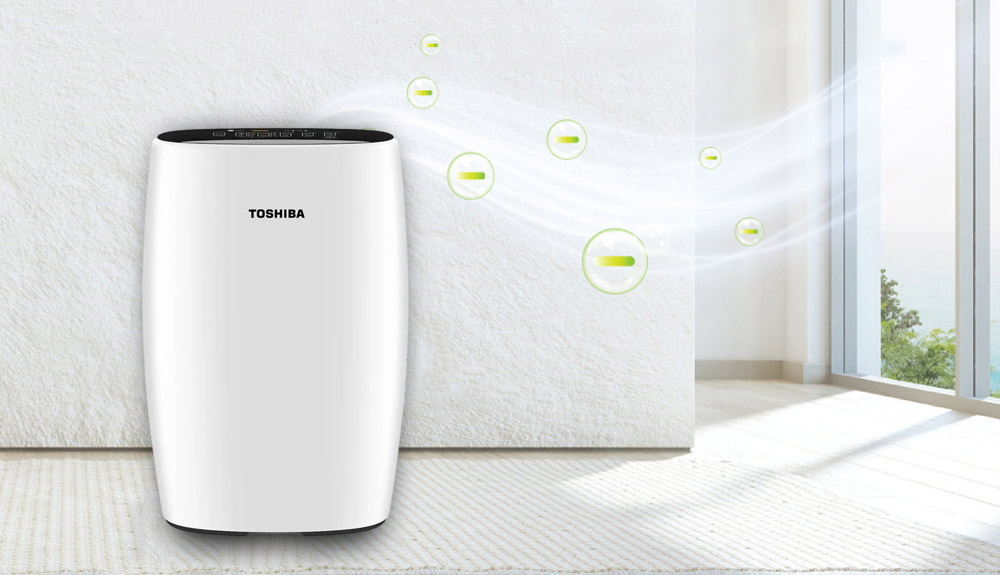 Máy lọc khí Nhật Bản