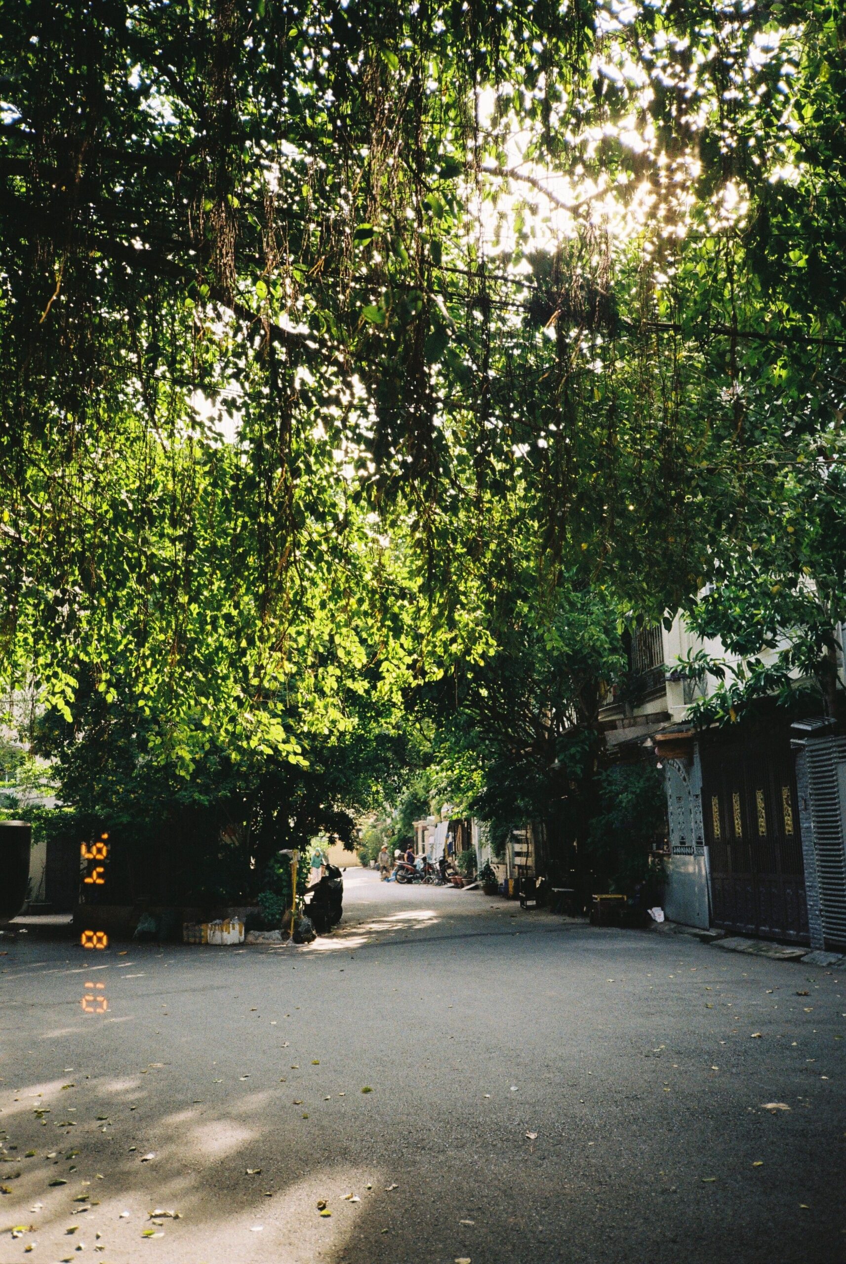 khu check-in mới đường xanh Sài Gòn
