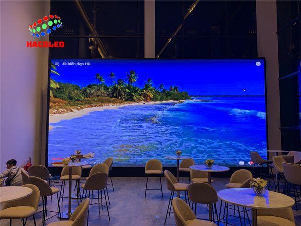 “Không gian lounge với bàn ghế hiện đại đối diện màn hình LED HacoLED khổ lớn hiển thị bãi biển xanh 4K; logo HacoLED góc trái trên cùng.”
