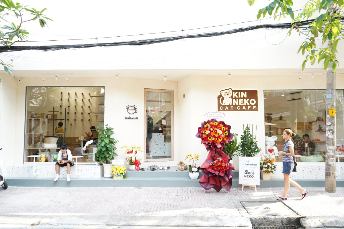 Quán cafe xuyên Tết cùng những "hoàng thượng: thuần chủng