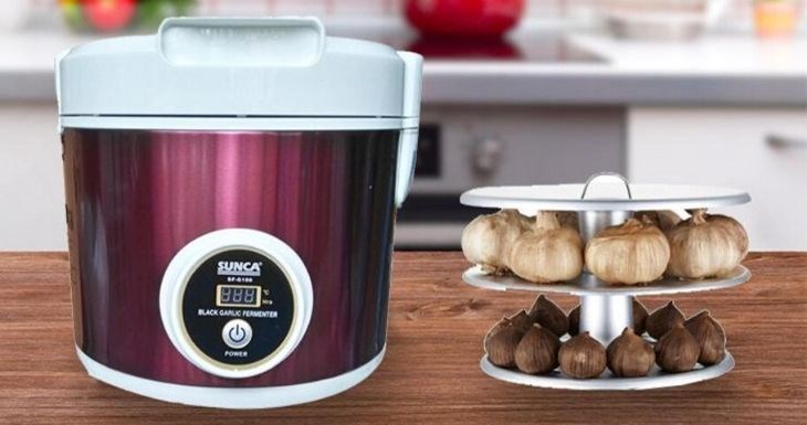 Máy làm tỏi đen Sunca màu tím cùng khay tỏi hai tầng minh họa quá trình biến đổi từ tỏi trắng sang tỏi đen sau khi lên men.