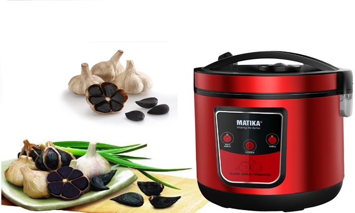 Máy làm tỏi đen Matika màu đỏ cùng thành phẩm tỏi đen dẻo mềm sau quá trình lên men tự động.