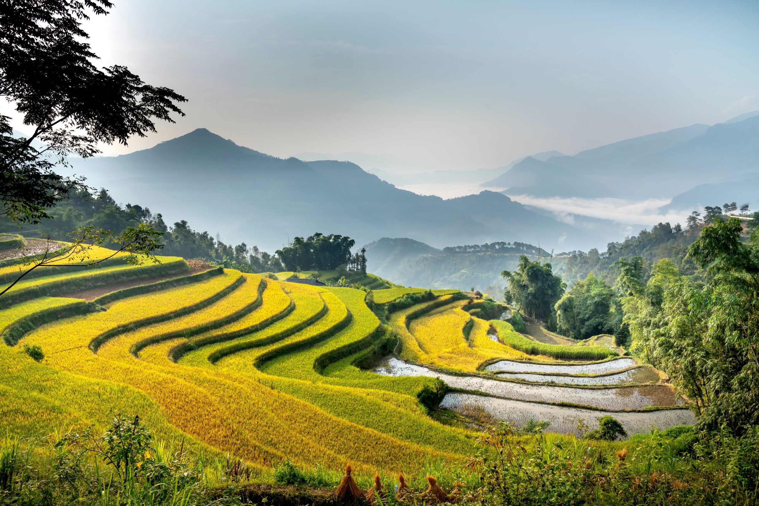 Homestay Hà Giang view ruộng bậc thang đẹp nhất Việt Nam