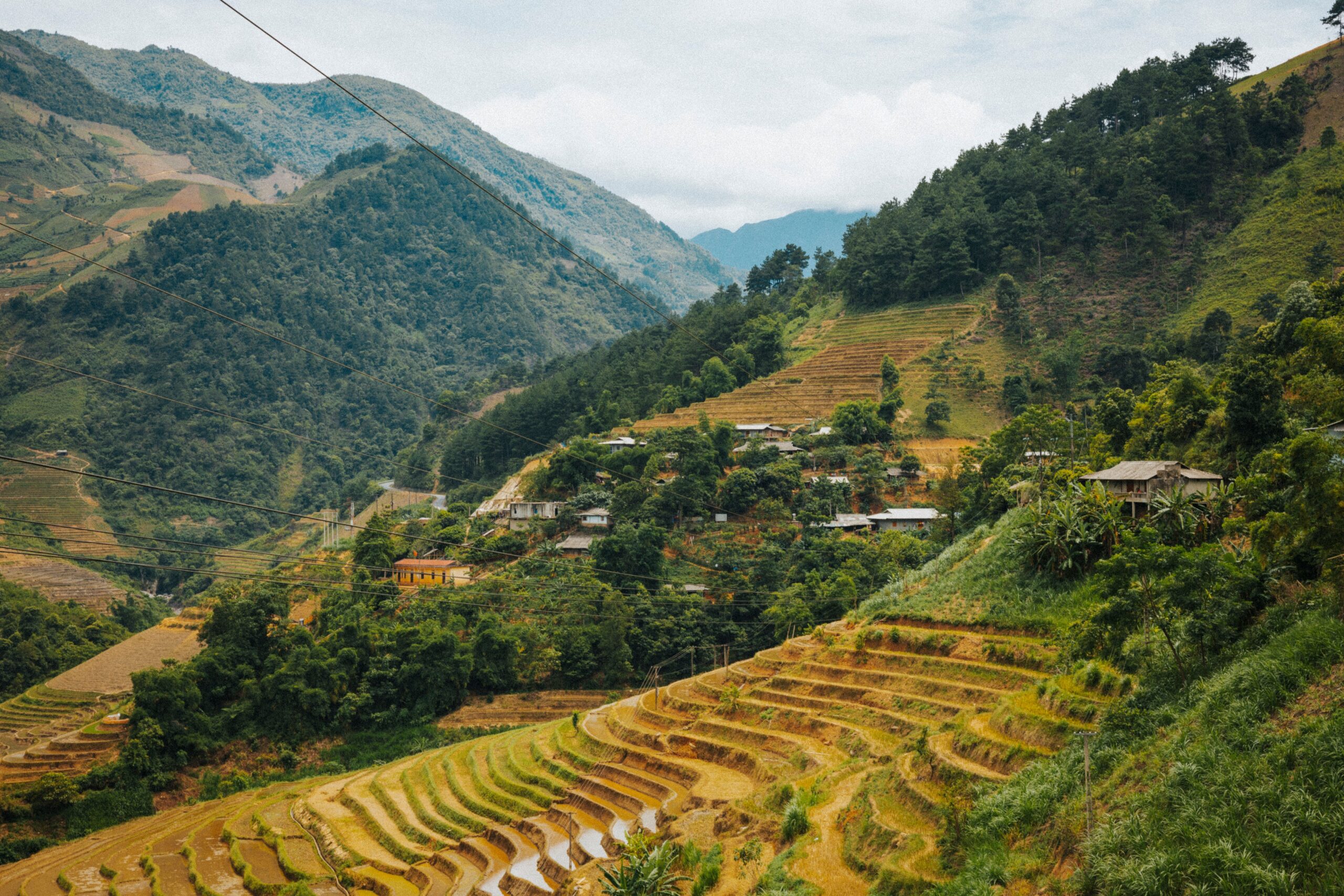 Ruộng bậc thang xanh mướt Hà Giang nhìn từ trên cao