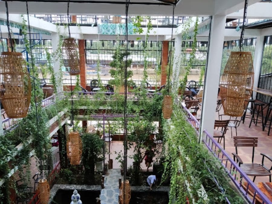 quán cafe hai tầng ở TP.HCM với giàn dây leo xanh và phong cách thiết kế mở thân thiện thiên nhiên
