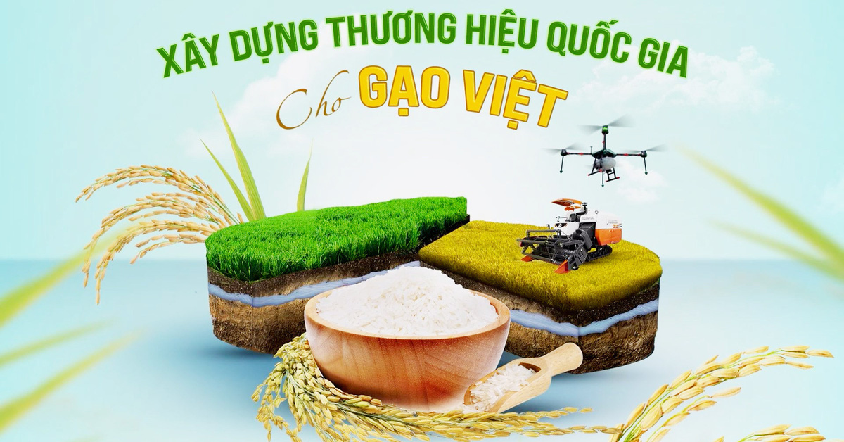Thương hiệu gạo Việt Nam uy tín