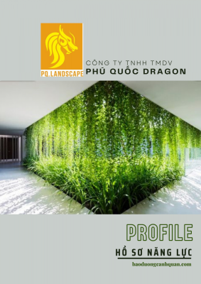 Trang bìa hồ sơ năng lực Phú Quốc Dragon với hình ảnh không gian xanh treo độc đáo và logo công ty thiết kế cảnh quan mang biểu tượng đầu rồng.