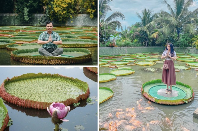 Du lịch miền Tây Sa Đéc