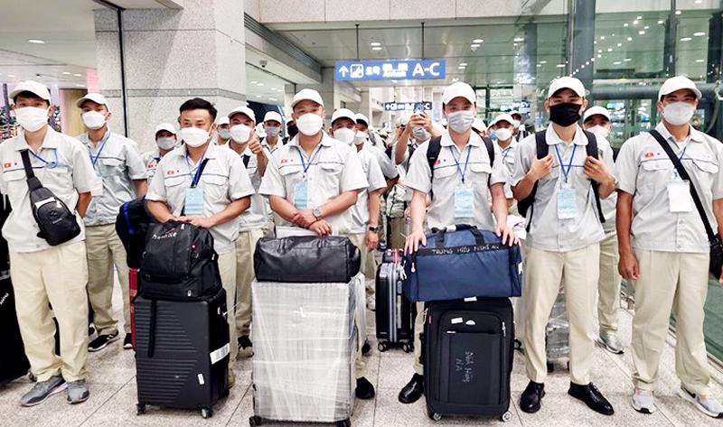 Lao động Trường Gia Group tại sân bay Hàn Quốc, tham gia chương trình xuất khẩu lao động nông nghiệp thông minh.

